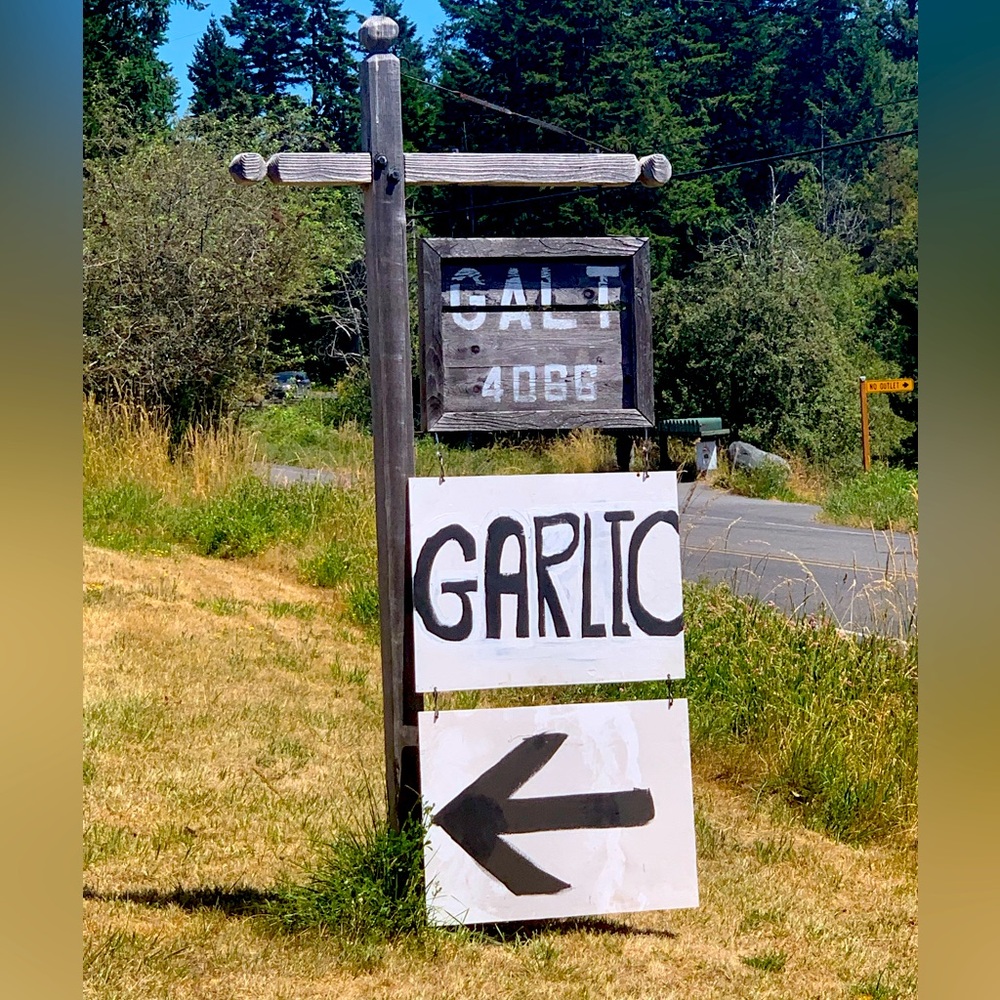 Garlic from The Farm: San Juan Island - Picture 6 of 14